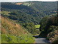 Egton Banks and Arncliffe Wood