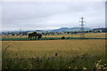 Fields at Templeton, Birkhill