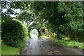 Road at Jeanfield, near Bridgefoot