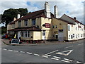 Poppies at The Crown, Whitchurch