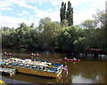 Canoeing on the Wye, Symonds Yat West