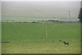 NO3738 : Fields at Newlandhead, Strathmartine by Mike Pennington