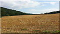 Stubble at Winthill Farm