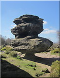 SE2065 : The idol, Brimham Rocks by Derek Harper