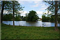 The pond at Home Farm, Nun Appleton Estate