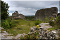 Caergwrle Castle (2)