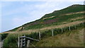 On the coast path near Llangrannog