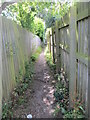 Footpath - Cheltenham Avenue