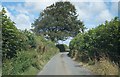 Narrow lane to Five Lanes Cross