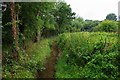 Stream just north of Winslow, Bucks