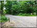 Bridleway junction west of the A324