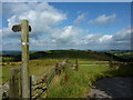 Footpath sign on Gritstone Trail