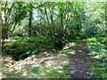 Footpath crosses Stanford Brook