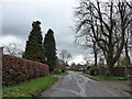 Rush hour in Sparsholt