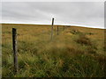 SE0072 : Fence on Sweet Hill by Chris Heaton