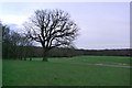 East Court playing fields, East Grinstead