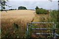 Footpath to Church Hanborough