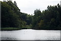 East end of White Loch, Ardblair, Blairgowrie