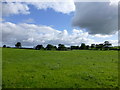 A cloudy sky near The Dark Hedges