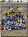 Floral Display, Marine Parade, Worthing, Sussex