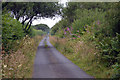 Unnamed lane towards Hardsworthy