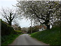 Church Lane, Aston Rowant