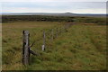 SE0273 : Boundary Fence approaching Blake Hill by Chris Heaton