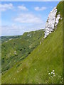 SY7780 : White Nothe Cliff by Nigel Mykura