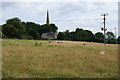SP4212 : Field below Church Hanborough by Bill Boaden