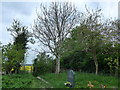 St. Margaret, Lewknor: churchyard (k)