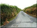 Road north of Voscombe Cross