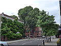 Approaching a zebra crossing in Royal Hospital Road