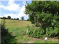 A modern gate between old gateposts, Rushlade