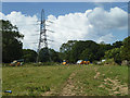 Footpath Westfield 10a approaches Redlay Farm