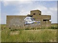 TR0567 : Hen Harrier: graffiti art at Shellness by Stefan Czapski