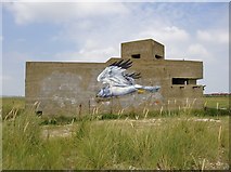 TR0567 : Hen Harrier: graffiti art at Shellness by Stefan Czapski