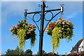 Floral Baskets in Drongan