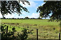 Farmland at Laigh Elymains