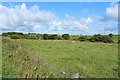 Farmland near Burnock Bridge