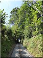 Road to Bowdley in Waterleat Wood