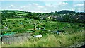 Outskirts of Stonehouse with allotments