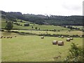 Hay fields in the Dee Valley