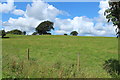 NS7027 : Farmland at Tardoes near Muirkirk by Billy McCrorie