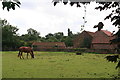 Paddock and farm in the centre of Lockington