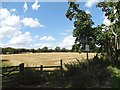 Path west from Wadworth