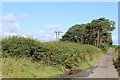 Minor road west of Leaburn