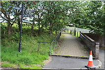 NS8330 : Footpath to St Bride's Church, Douglas by Billy McCrorie