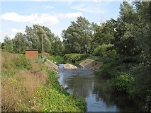 TL8415 : Weir near Appleford Bridge, River Blackwater by Roger Jones