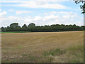 Arable land near Brickhouse Farm, Great Braxted