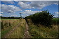 SE4545 : Farm track leading to Newton Kyme by Ian S